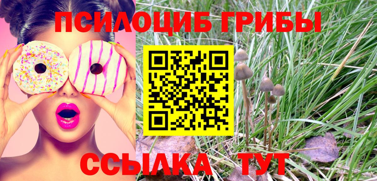 Псилоцибиновые грибы прущие грибы  где продают   Чистополь  Вход с VPN  Псилоцибиновые грибы Psilocybine cubensis 